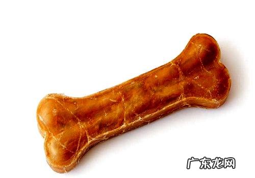 下列这几类食材干万不可以喂养小狗