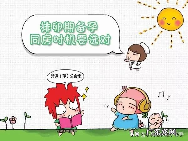 开始备孕,需要准备好补钙吗?