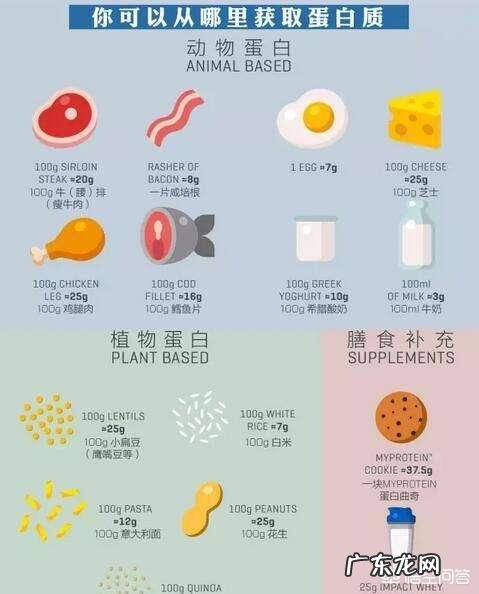 每天应该补充多少蛋白质？过量摄入，会对肾脏造成负担吗？