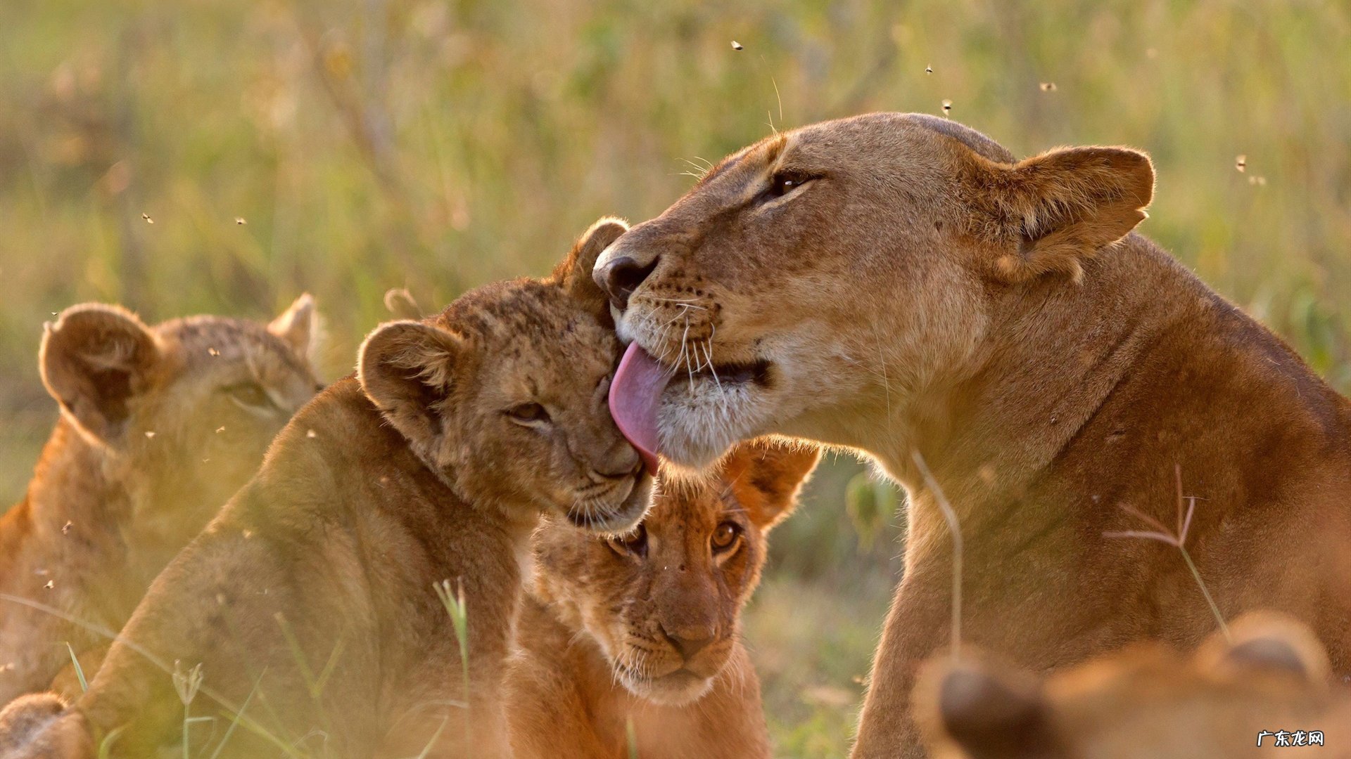 产后如何瘦身,瘦腿,瘦肚子呢?