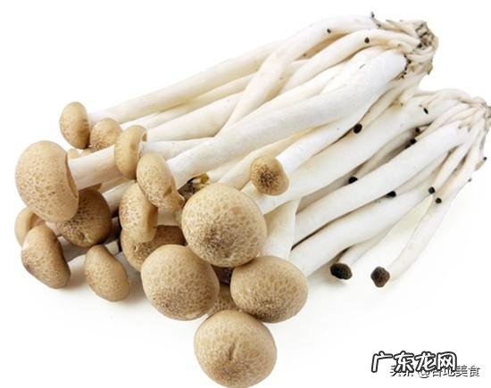 冬瓜海带蟹菇汤的做法是什么?