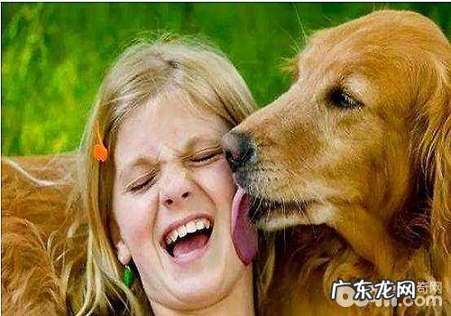 造成狗狗口臭的缘故都有哪些?