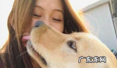 造成狗狗口臭的缘故都有哪些?