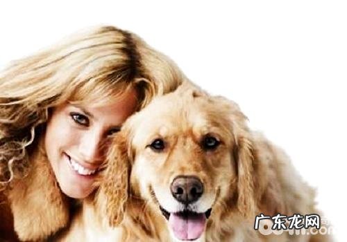 小狗是根据哪些方法来分辨自身主人家的?