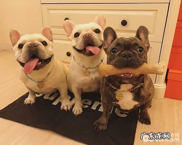 医护法斗头发的方式都有哪些？