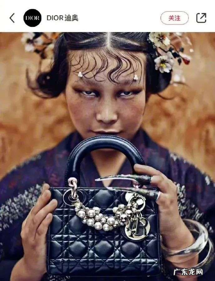 加拿大鹅,你这是在作死啊