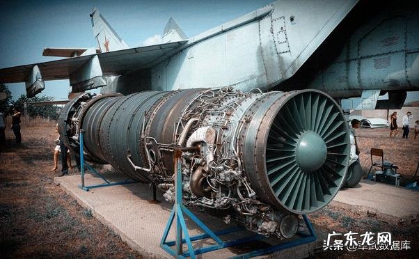 听说空姐打死都不吃飞机餐,是真的吗?