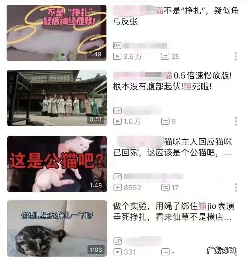 正视动物演员,从推动侧拍记录开始