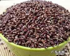 黑燕麦片营养高吗 黑麦片是纯麦片吗？有营养吗？