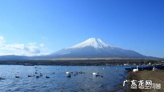 你看过的“重口味”综艺有哪些?