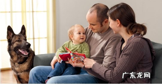 训练小狗,训练小狗的方式?