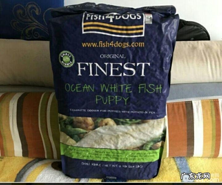 哪一种犬粮合适喂养幼仔？合适喂养幼狗的犬粮有什么？