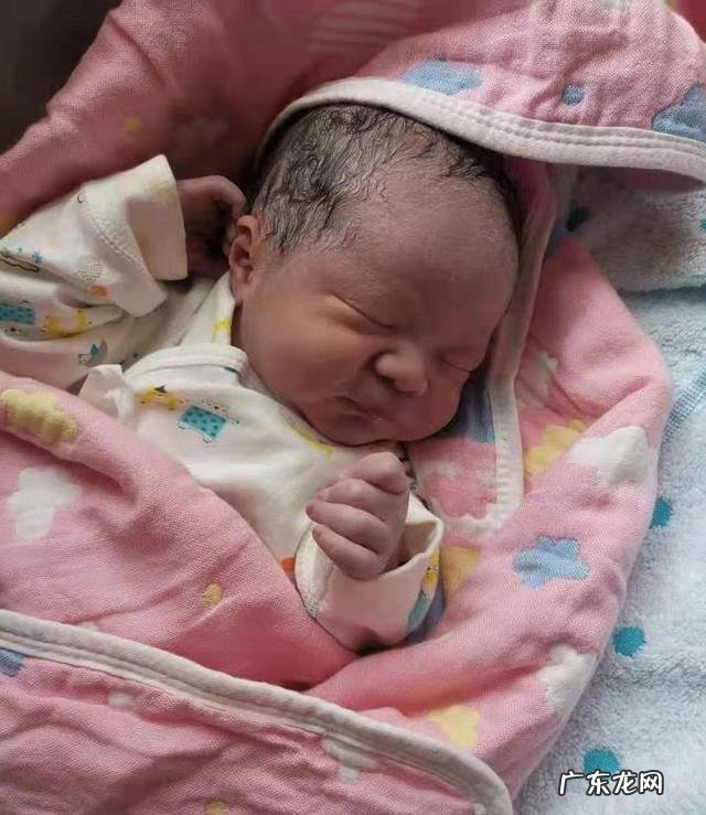 孕妇在怀孕几个月要特别注意胎动-母牛怀孕几个月能看见胎动