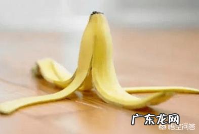 香蕉皮可以当做花肥吗?如何拿来养花?