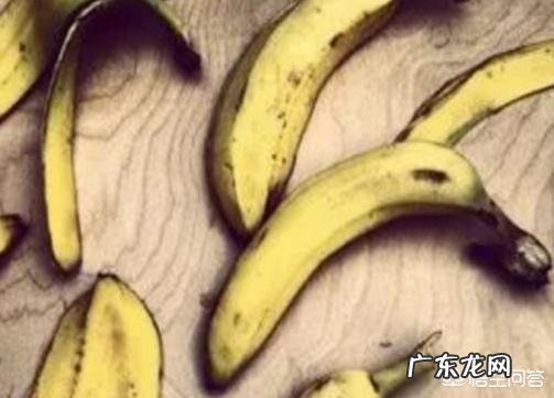香蕉皮可以当做花肥吗?如何拿来养花?