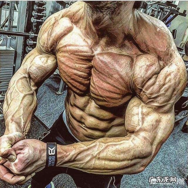 光练不补充蛋白质对增肌有影响吗?对力量提升有影响吗?