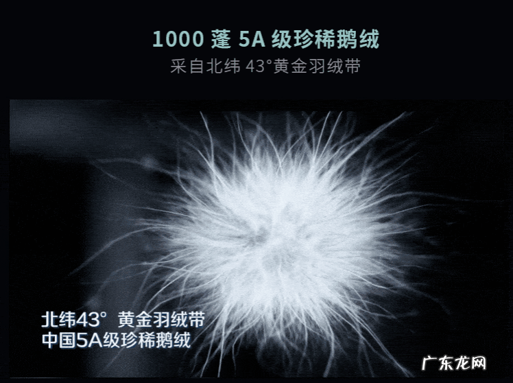 波司登只有高端，没有爆款