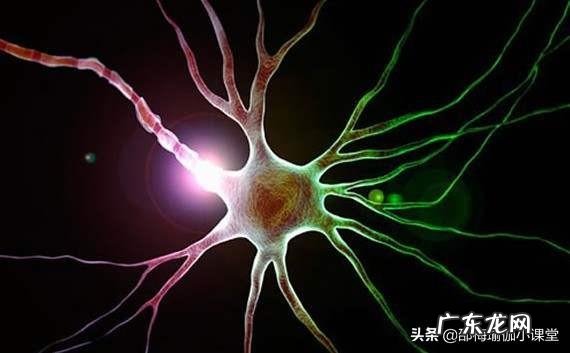 产后修复,是去产后康复中心修复好还是通过瑜伽修复更好?