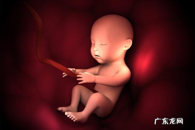 孕期怎么知道宝宝发育得好不好-怀孕了怎样才知道宝宝发育好