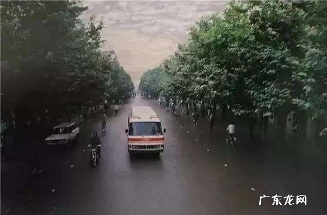 一只母老鼠卖3万块,四川这个农民30年前,是怎样骗了几万家庭的?