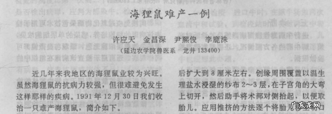 一只母老鼠卖3万块,四川这个农民30年前,是怎样骗了几万家庭的?