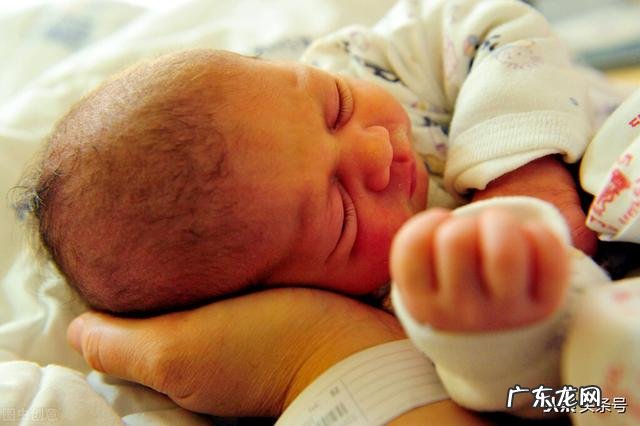 孕期历险记在线阅读-关于怀孕的书在线阅读