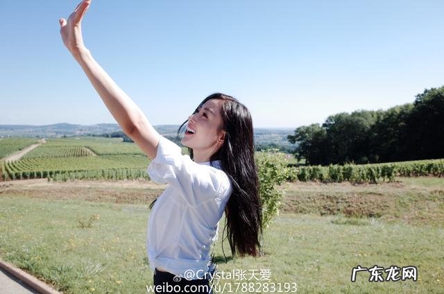 为什么最近张天爱被黑的这么惨?