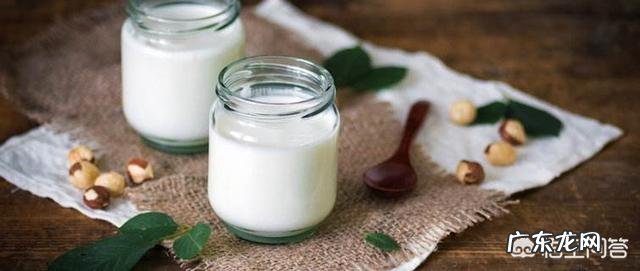 纯牛奶和酸牛奶哪个更有营养?