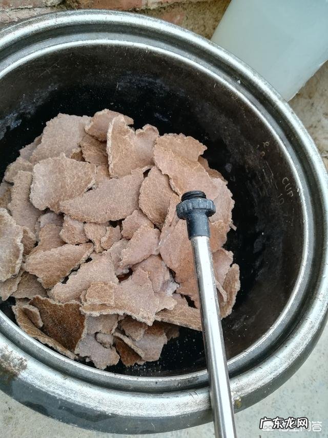 芝麻饼肥怎么发酵不臭 沤制的饼肥水怎么才能不臭?