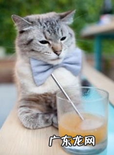 运动时缠保鲜膜可以减肥吗?对身体有坏处吗