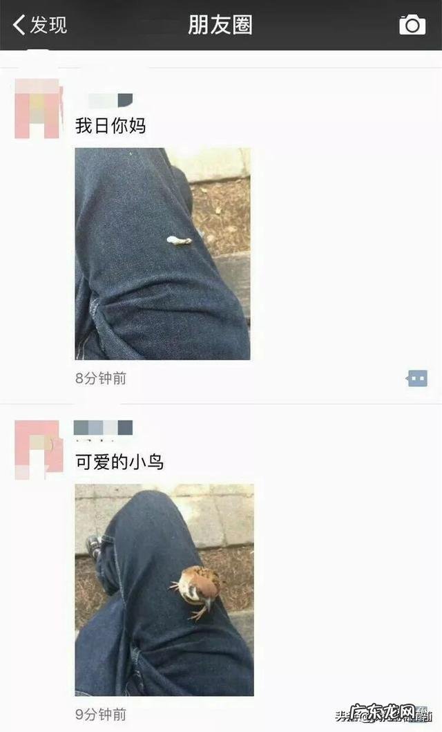 2020所有的搞笑梗 2020年,有哪些网络搞笑梗?