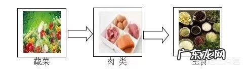 我要减肥，但我还在上大学。请问晚上吃什么既营养健康又不会胖？