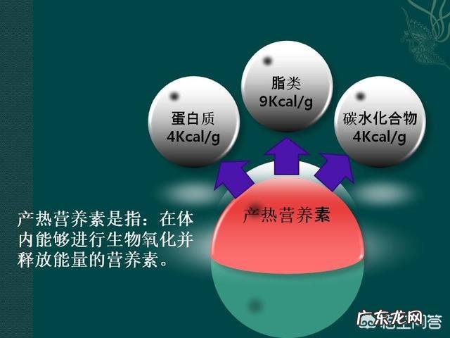 鸡蛋与什么菜一起炒绝配?