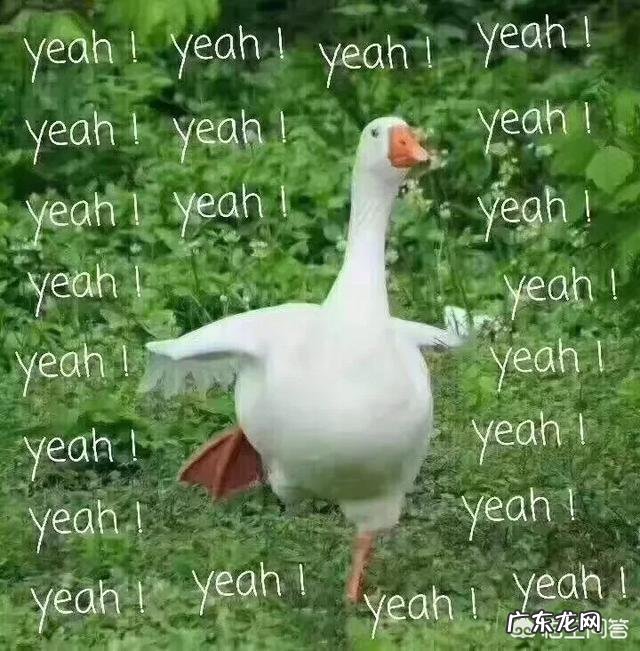 如何从160斤瘦到100斤 如何半年内从160斤减到100斤?