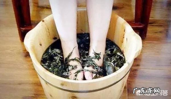 艾叶泡脚有什么作用与功效吗 艾叶晚上可以泡脚吗?有什么功效?