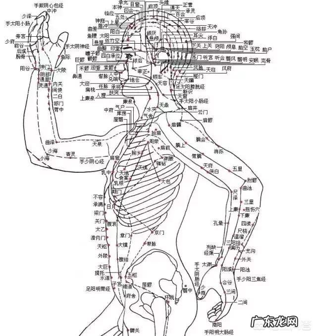 艾叶泡脚有什么作用与功效吗 艾叶晚上可以泡脚吗?有什么功效?