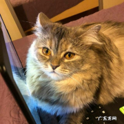 女生158厘米，多少公斤是标准的身材？