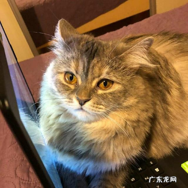 女生158厘米,多少公斤是标准的身材?