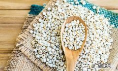 炒熟的薏米和什么搭配泡水喝？