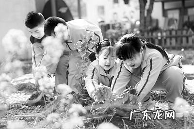 幼儿园家长的配合增强孩子的自信-怎样引导幼儿园的孩子树立自信心