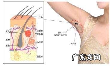 减肥最快运动5天瘦十斤 运动减肥,是不是哪出汗多哪里更容易瘦?