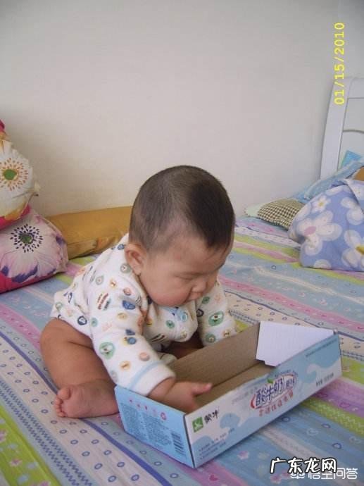 宝宝三个月,体重12斤正常吗?