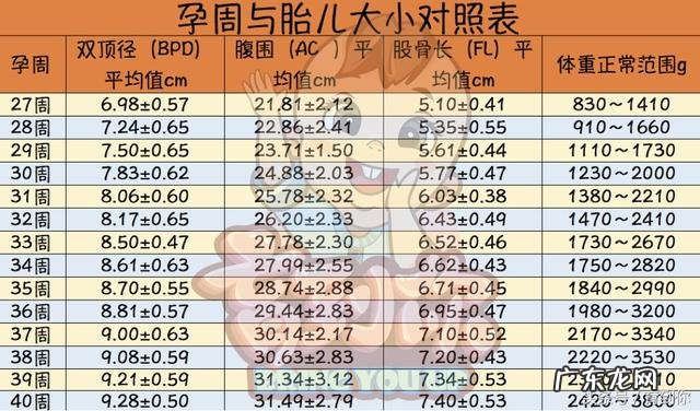 怀孕20周的胎儿有多重多长？孕5个月的胎儿开始胎动了吗？