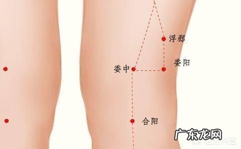 虚胖湿气重,按哪个穴位有用?