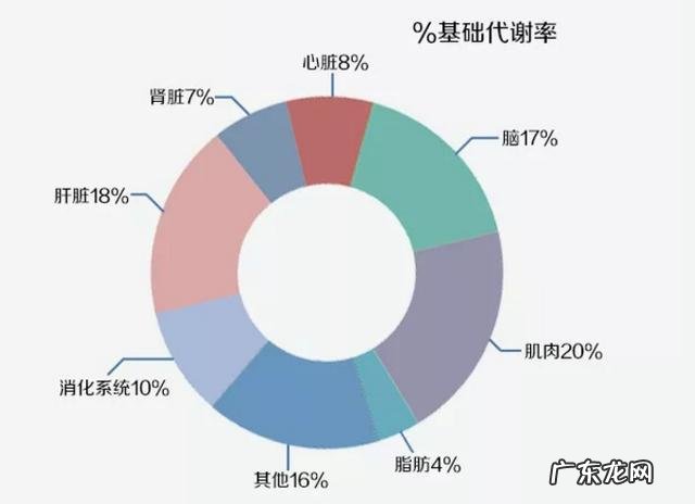 什么是新陈代谢,怎样加速新陈代谢?