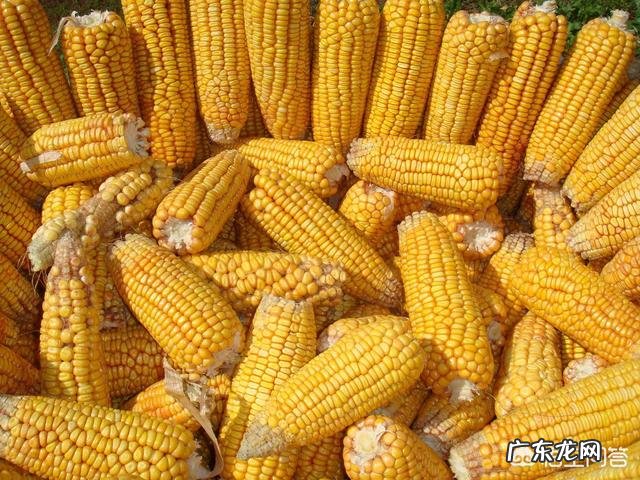 有人说“康乾盛世”只是一副虚假的现象，对此你有什么看法？