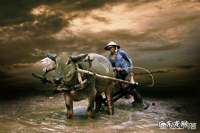 有人说“康乾盛世”只是一副虚假的现象，对此你有什么看法？