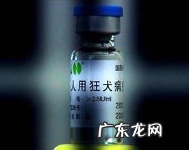 狂犬病疫苗不良反应有什么?必须注入狂犬病疫苗吗?