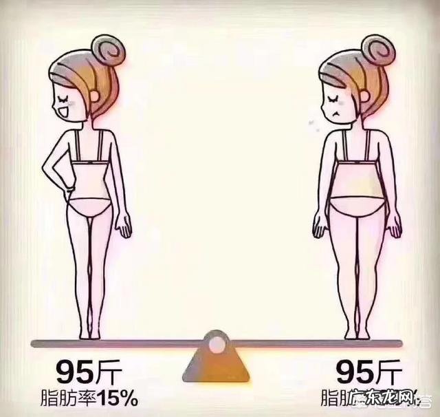 \"低碳水高蛋白\"饮食减肥法到底好不好?