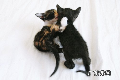 拔罐减肥对时间有什么要求